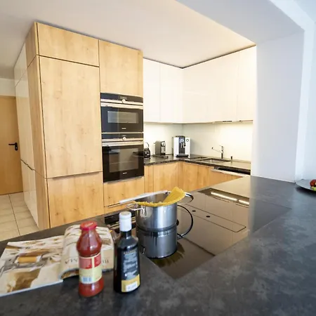 Chasa Emerita Moderne 3,5-zimmer Terrassenwohnung Mit Panoramablick Scuol