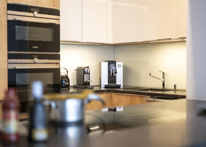 Apartment Chasa Emerita Moderne 3,5-zimmer Terrassenwohnung Mit Panoramablick Scuol